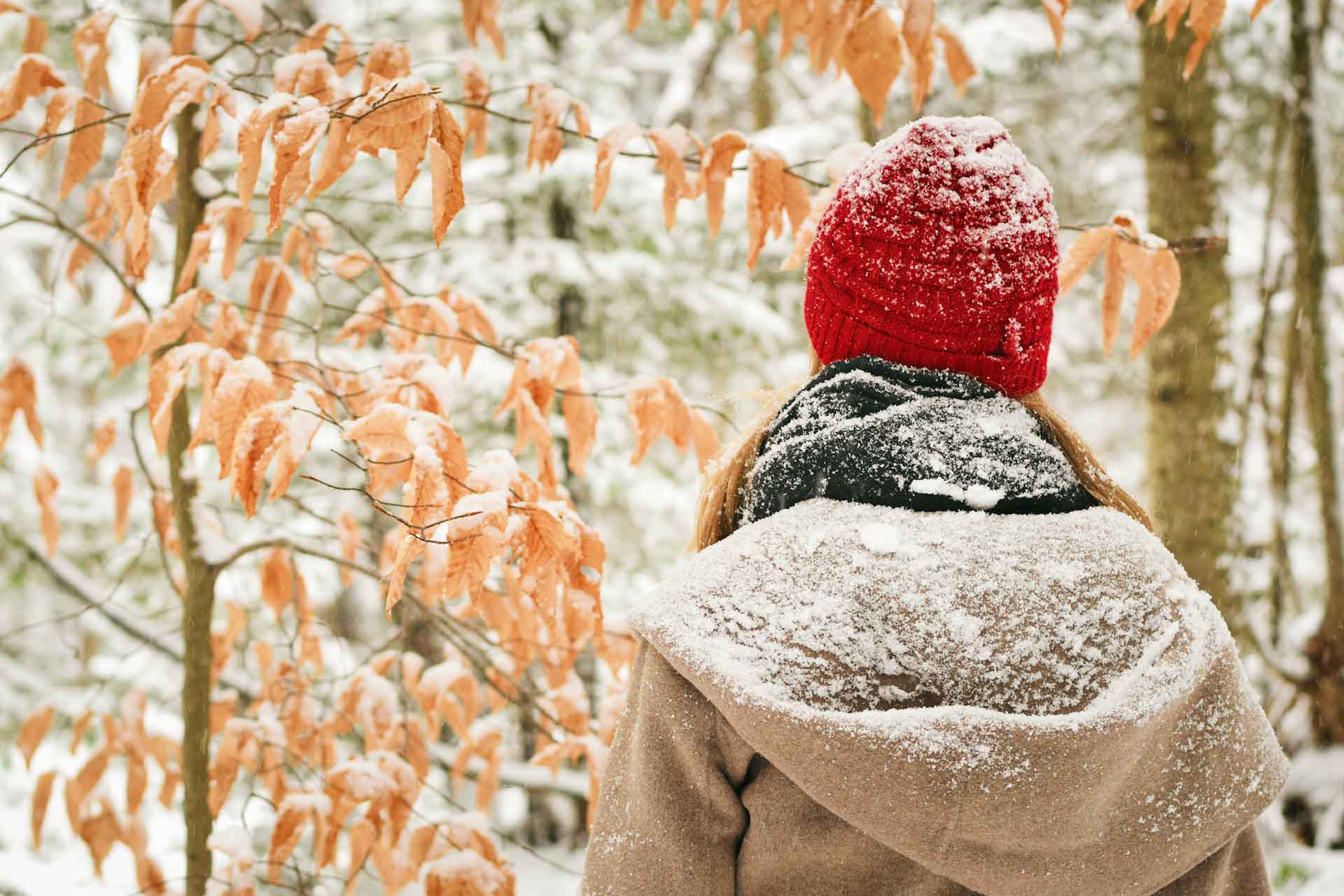 woman looking at a snowy tree on a winter walk, as part of a winter self care idea